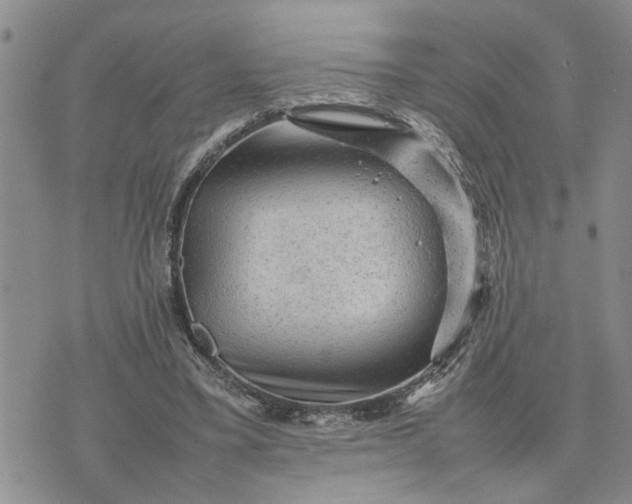 X0000075380395200609251157