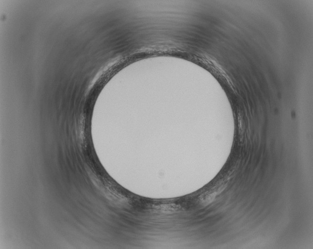 X0000075380396200609251157