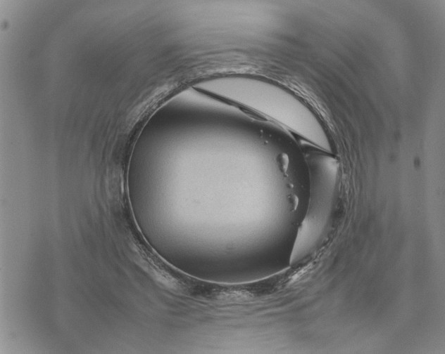 X0000075380397200609251157