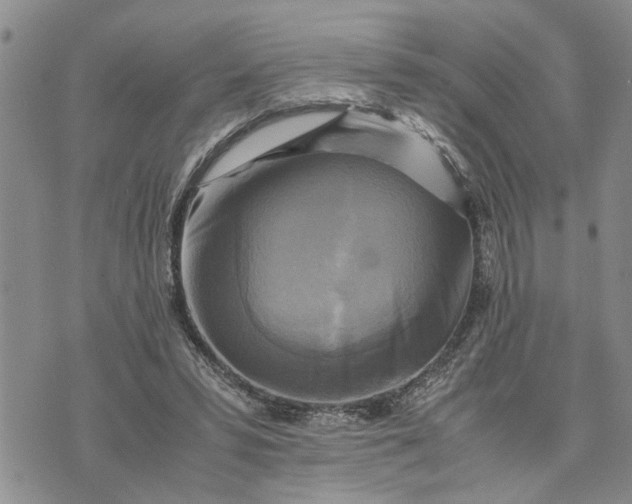 X0000075380399200609251157