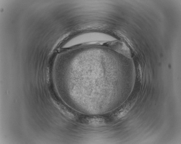 X0000075380400200609251157