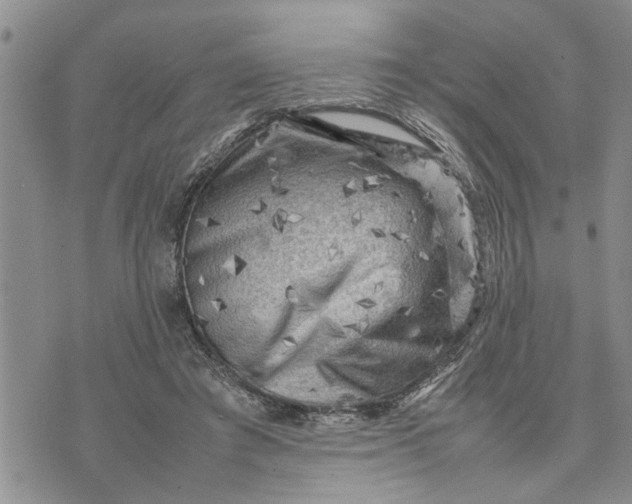 X0000075380401200609251157