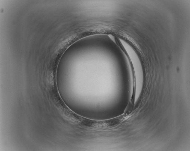 X0000075380403200609251157