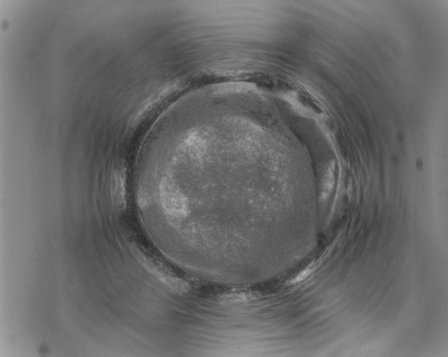 X0000075380404200609251157