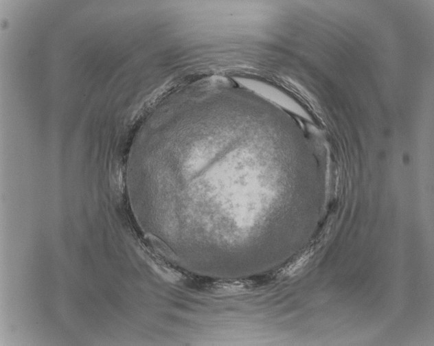 X0000075380405200609251157