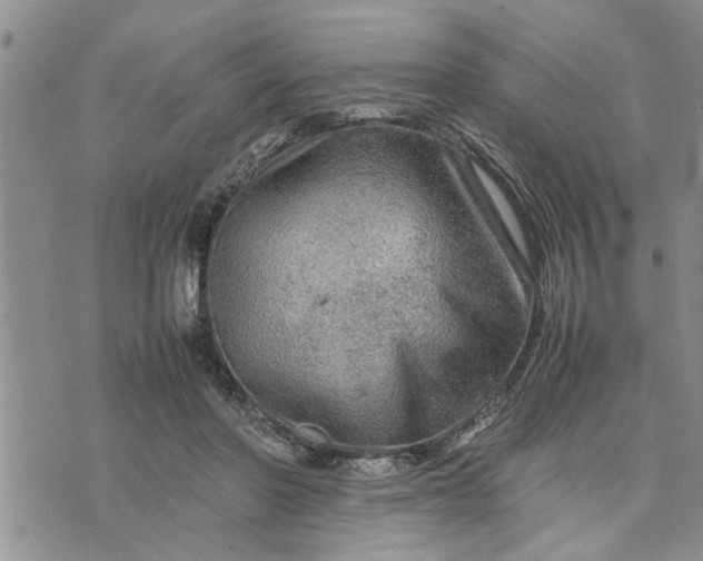 X0000075380406200609251157