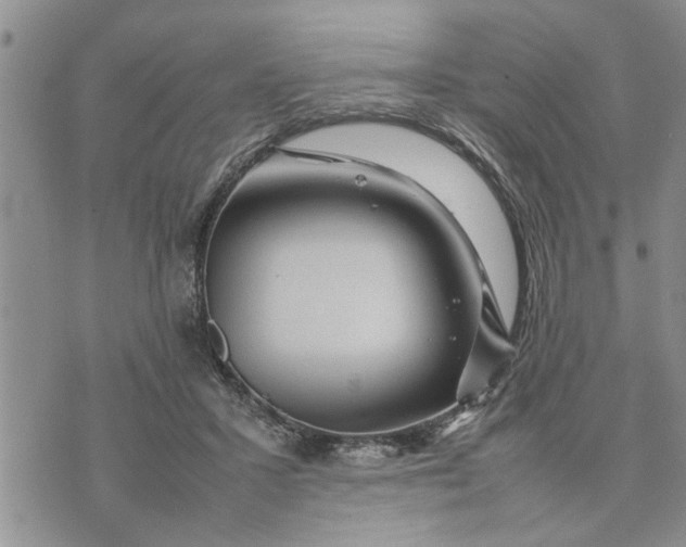 X0000075380407200609251157