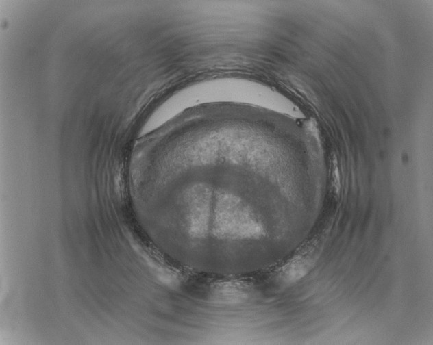 X0000075380408200609251157