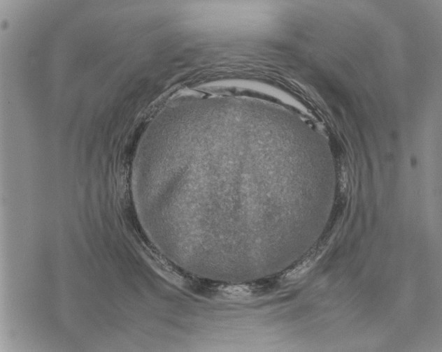 X0000075380409200609251157