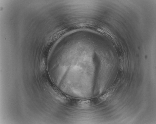 X0000075380410200609251157