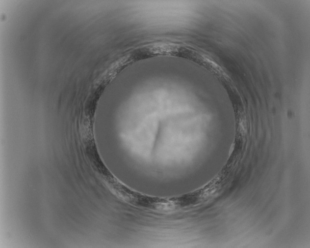 X0000075380411200609251157