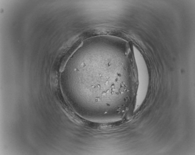 X0000075380413200609251157