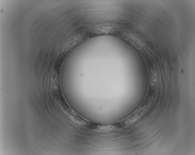 X0000075380414200609251157