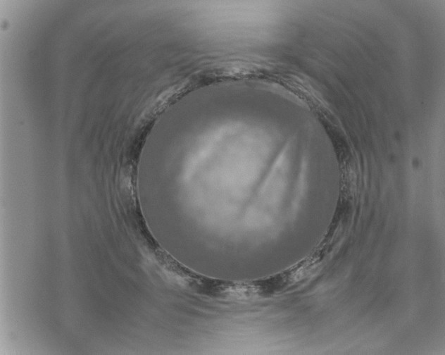 X0000075380415200609251157