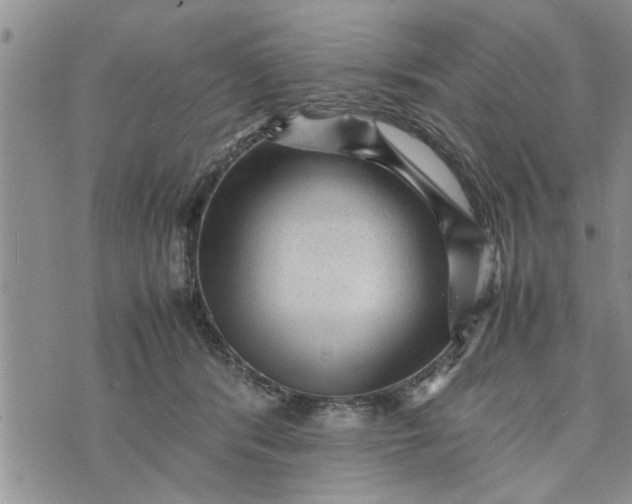 X0000075380416200609251157