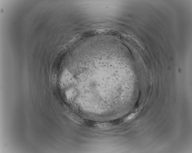 X0000075380417200609251157