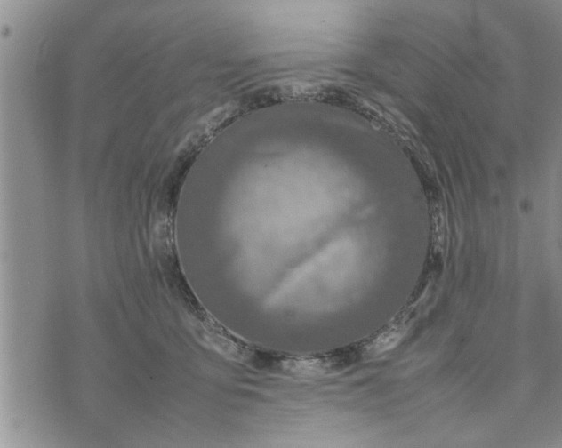 X0000075380419200609251157