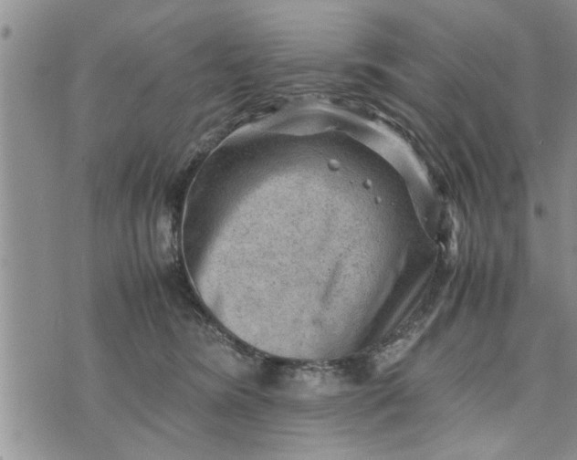 X0000075380420200609251157