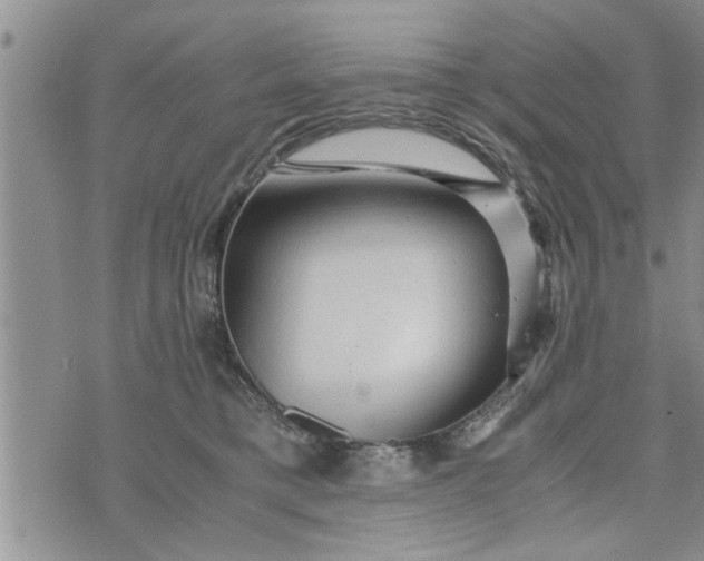 X0000075380421200609251157