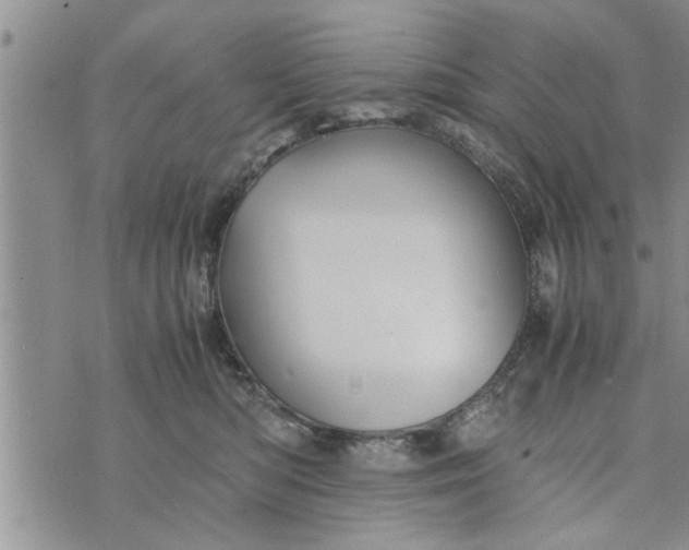 X0000075380422200609251157