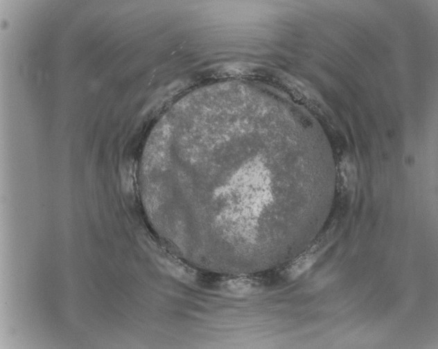 X0000075380423200609251157