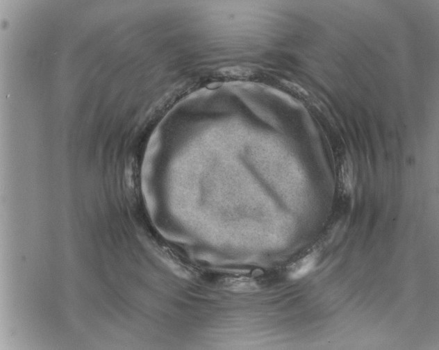 X0000075380424200609251157