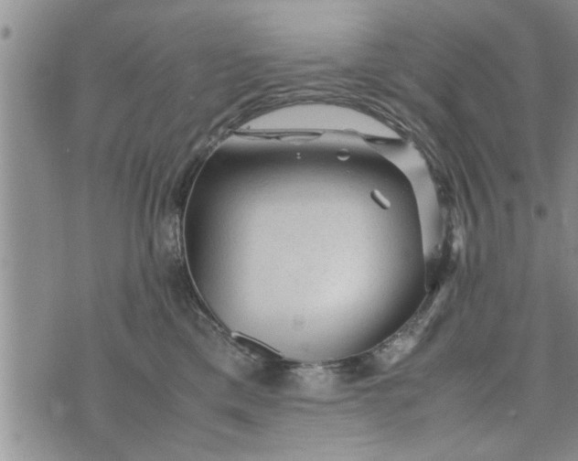 X0000075380425200609251157