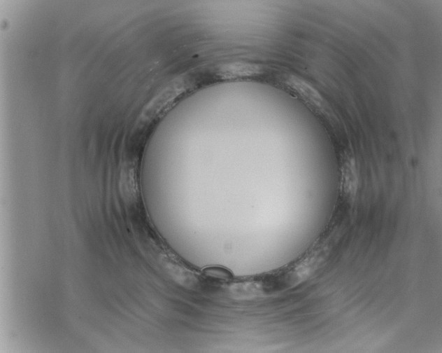 X0000075380426200609251157