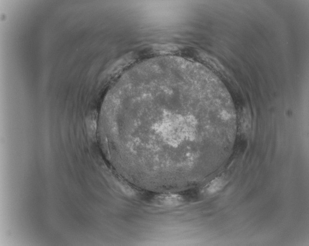 X0000075380427200609251157