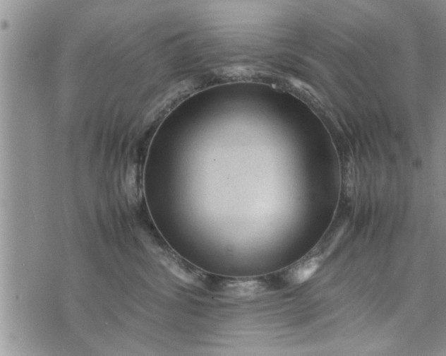 X0000075380428200609251157