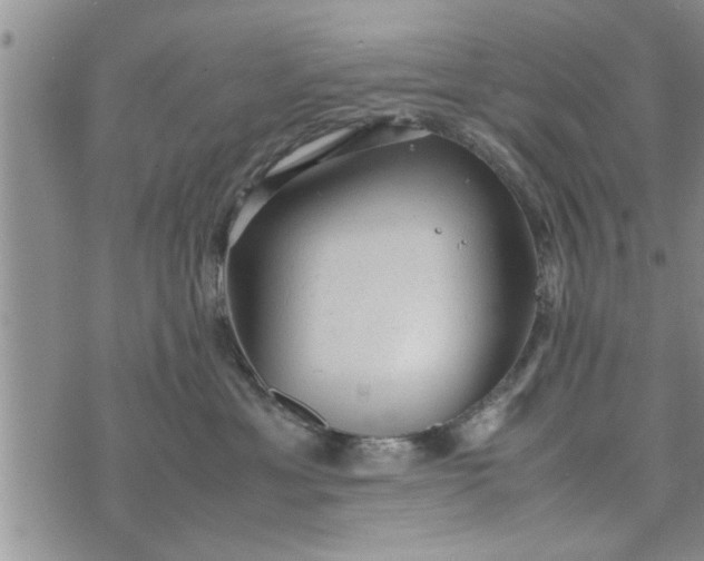 X0000075380429200609251157