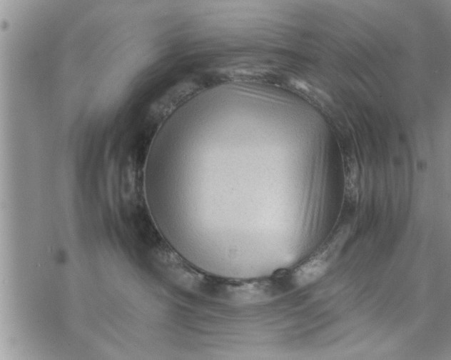 X0000075380430200609251157