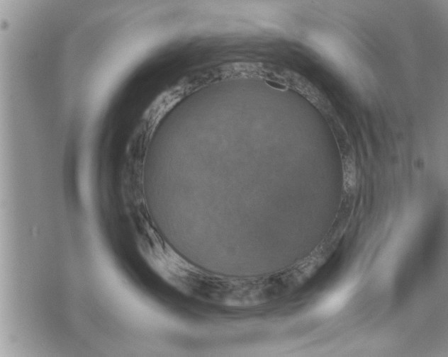 X0000075380431200609251157