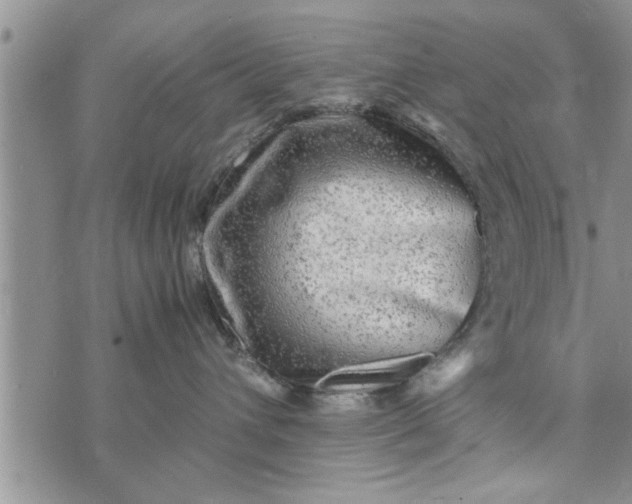 X0000075380432200609251157