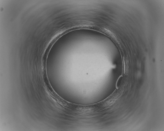 X0000075380435200609251156