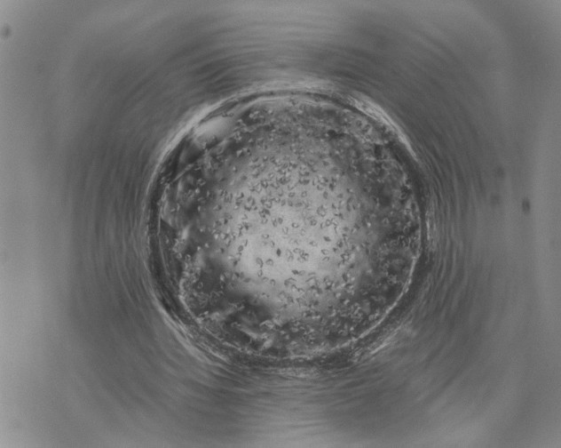 X0000075380436200609251156