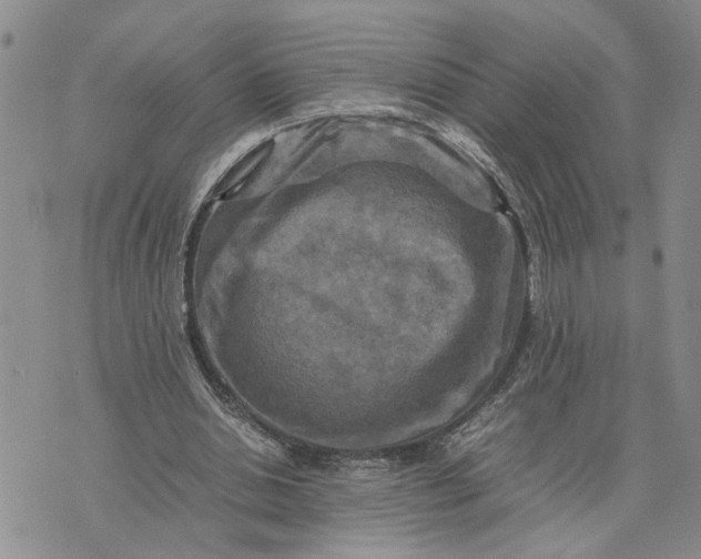 X0000075380438200609251156