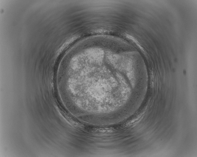 X0000075380443200609251156