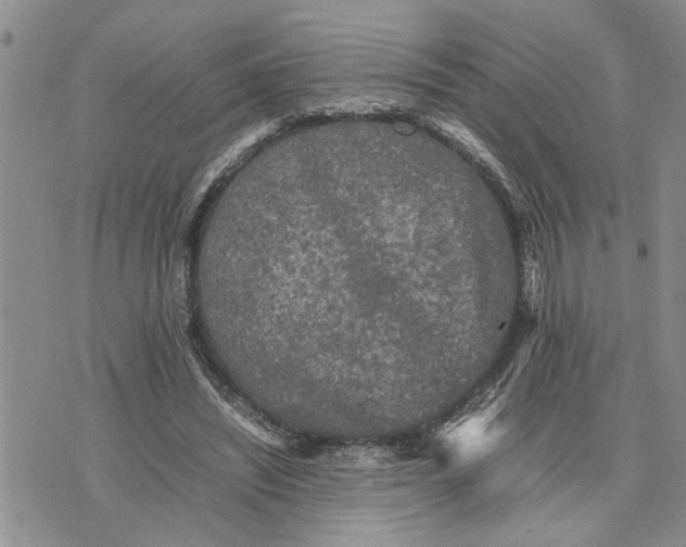 X0000075380444200609251156