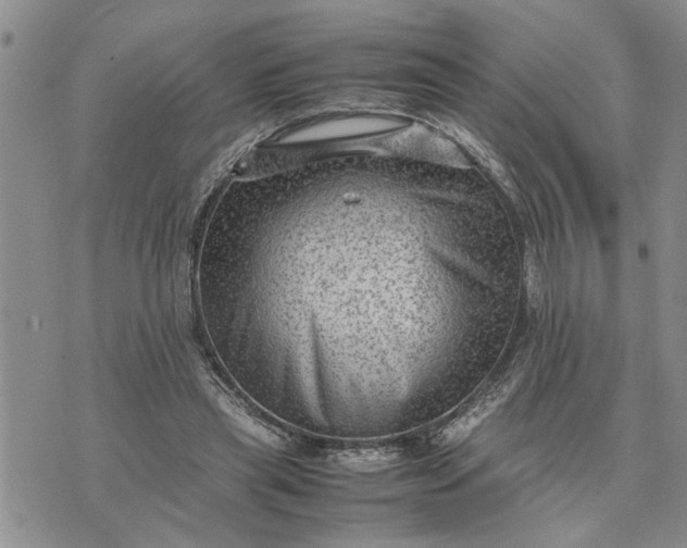 X0000075380445200609251156