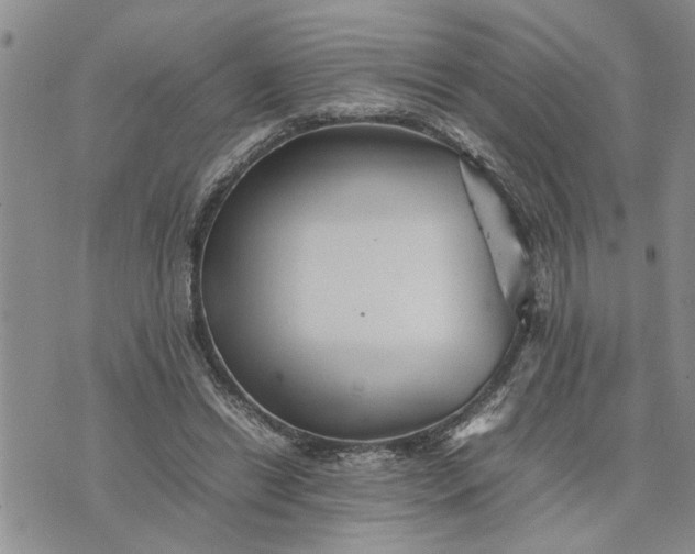 X0000075380446200609251156