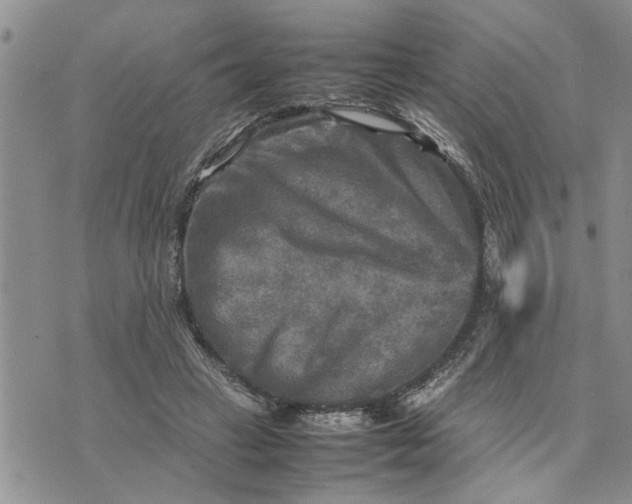 X0000075380449200609251156