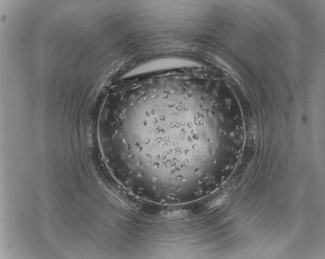 X0000075380452200609251156