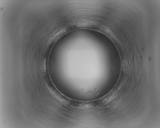 X0000075380454200609251156