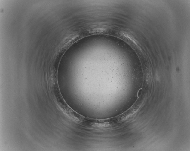 X0000075380455200609251156