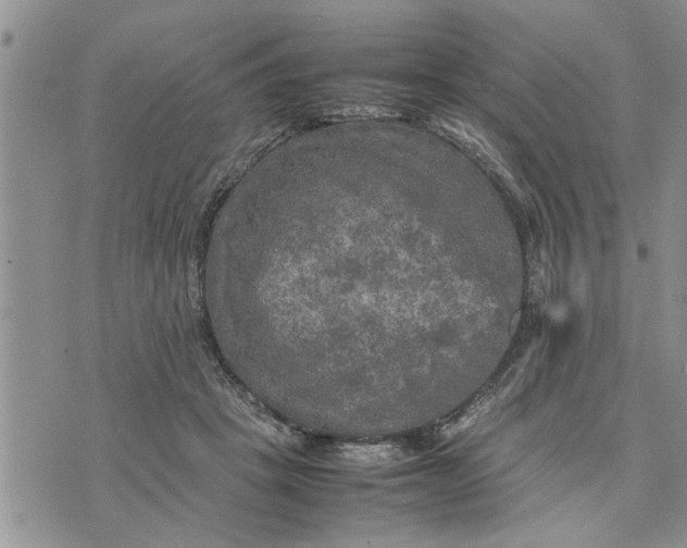 X0000075380457200609251156