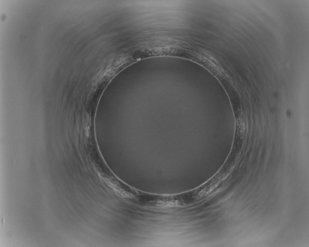 X0000075380458200609251156