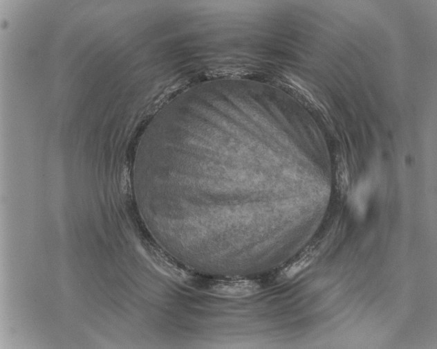 X0000075380459200609251156