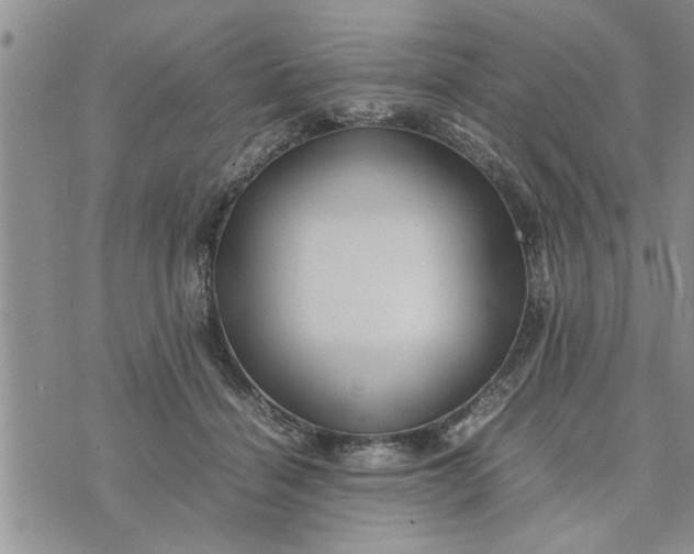 X0000075380460200609251156