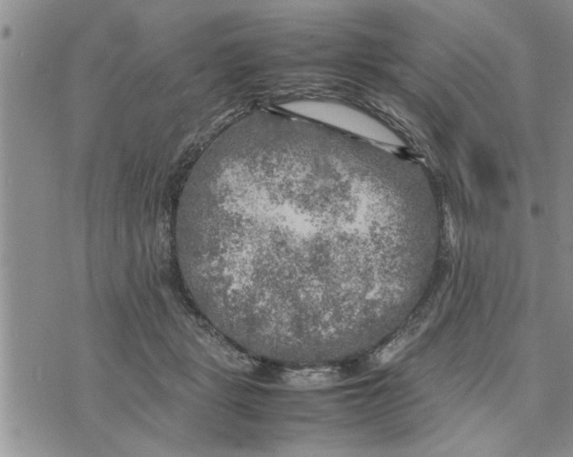 X0000075380461200609251156